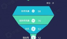 台风苏拉最新爆料新闻联播,新闻联播权威解读