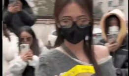 娱乐区吃瓜爆料视频下载,吃瓜爆料视频背后的真相大揭秘